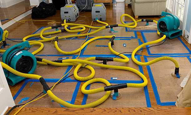 Professional Crawl Space Water Removal technician working in Chesterfield, MA